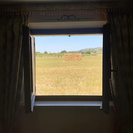 Unica Agri-charming House Bed & Breakfast Assisi